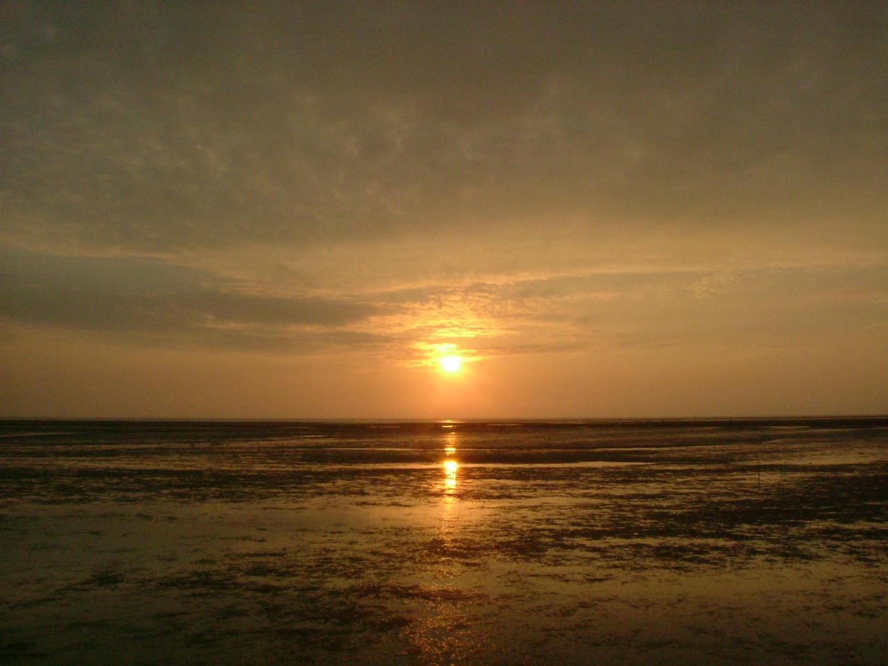 芳苑漢寶夕照