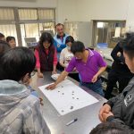 骰子押注(1-6數字)遊戲