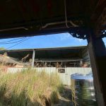翁新統大屋屋況