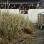 翁新統大屋屋況