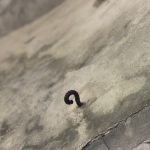 原彰化飛行場防空塔-引線的固定環，銹蝕後樣似?符號