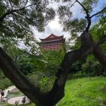 圓山密道-由孔二小姐故居前仰望圓山大飯店(東側)