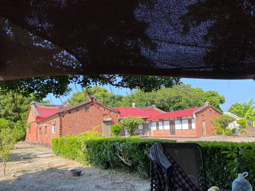 樹下遠望古厝