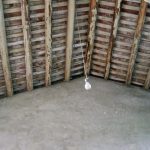 洋樓擱棅屋頂(2005)