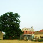 遠眺洋樓(2005年)